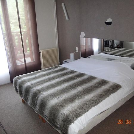 Hotel Bon Accueil Oyonnax Kamer foto